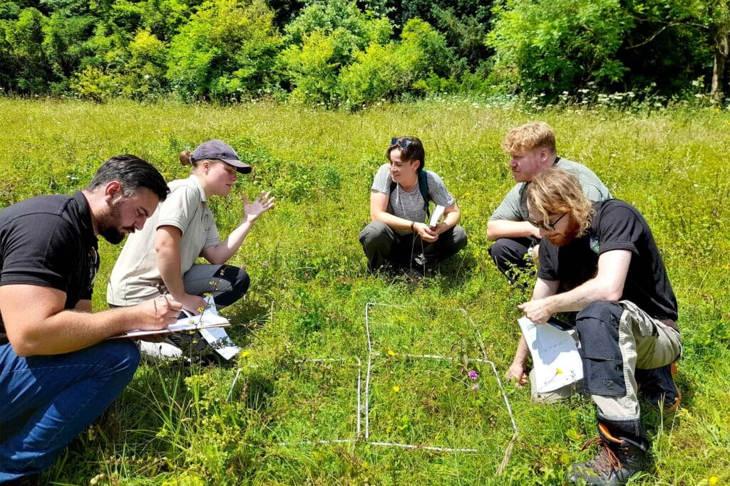 People on the ground studying the plants in a green meadow.