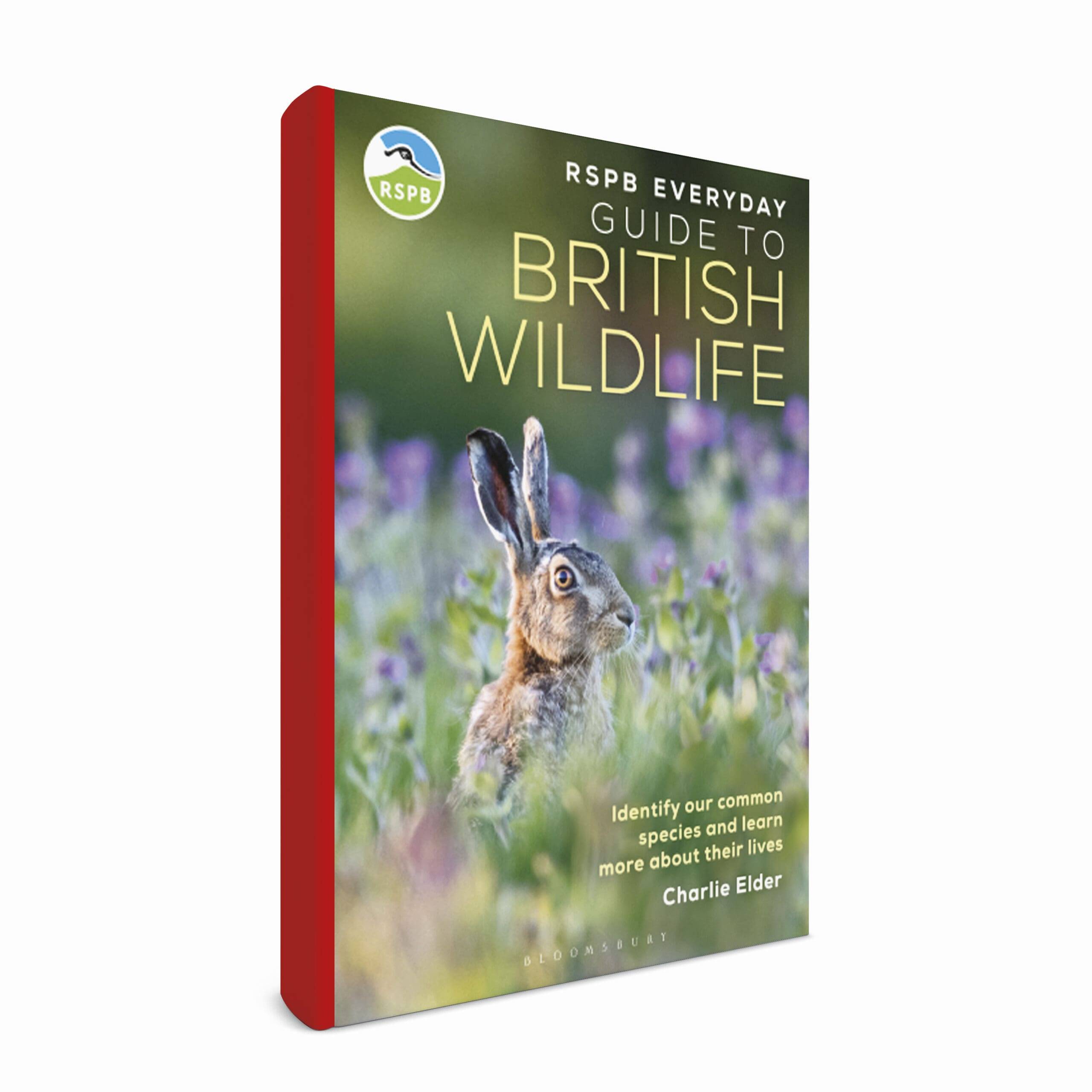 Guide to British Wildlife book