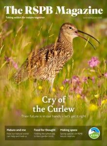 The RSPB Magazine Summer/Autumn 2025 with Curlew on the cover