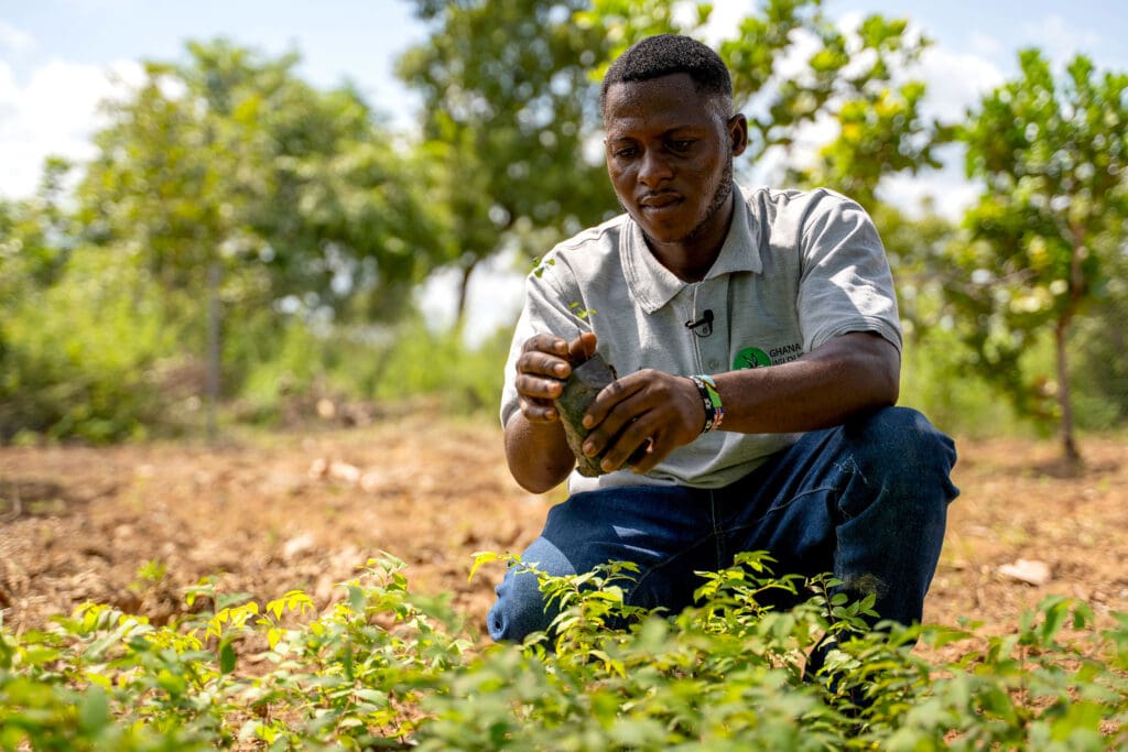 A man from Ghana Wildlife Society is knelt down in a tree nursery