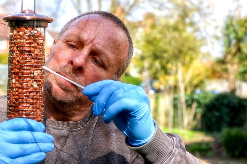 A man uses a cotton bud to take a surface sample off a bird feeder