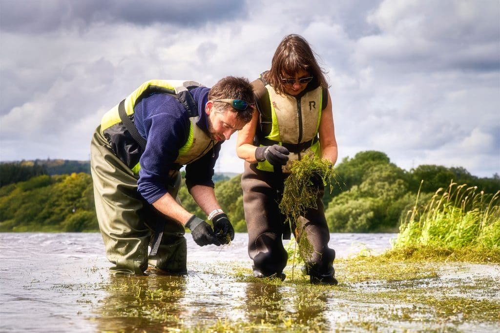 A man and woman stand in a loch surveying weeds