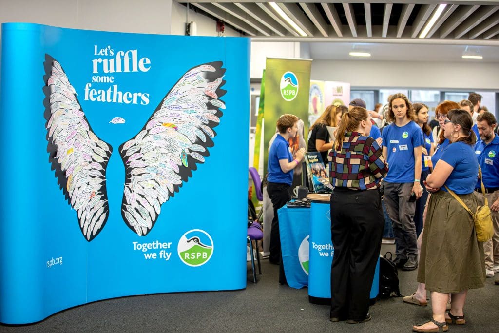 A group of people stood talking at an RSPB stand next to a big display that reads 'Let's ruffle some feathers' with the wings of hope craftivism installation below, filled with feathers where people have written their hope for the future of nature