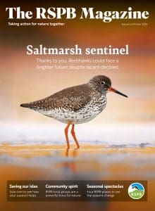 The RSPB Magazine Autumn/Winter 2025 with Redshank on the cover