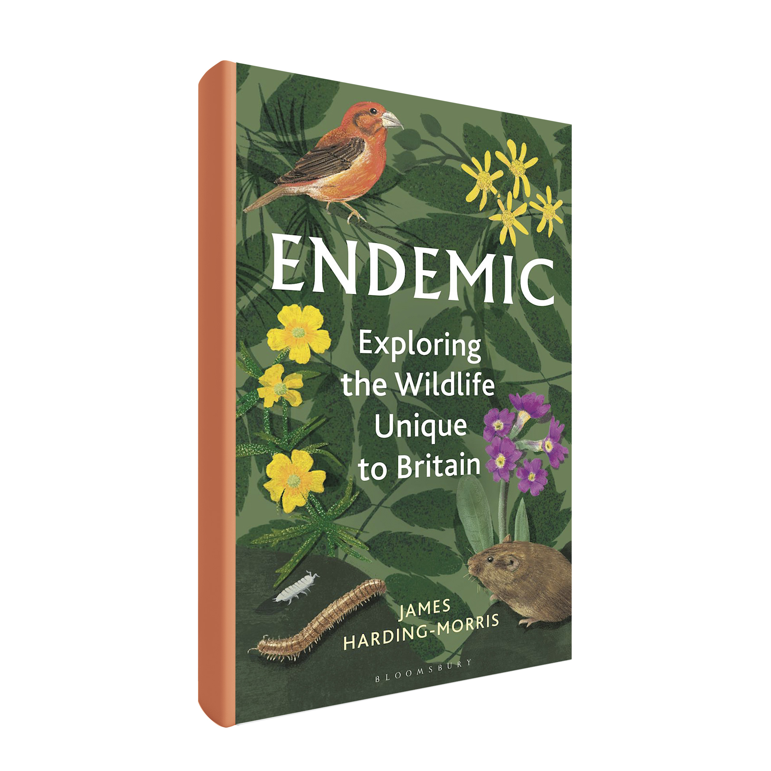 Book cover for Endemic by James Harding-Morris