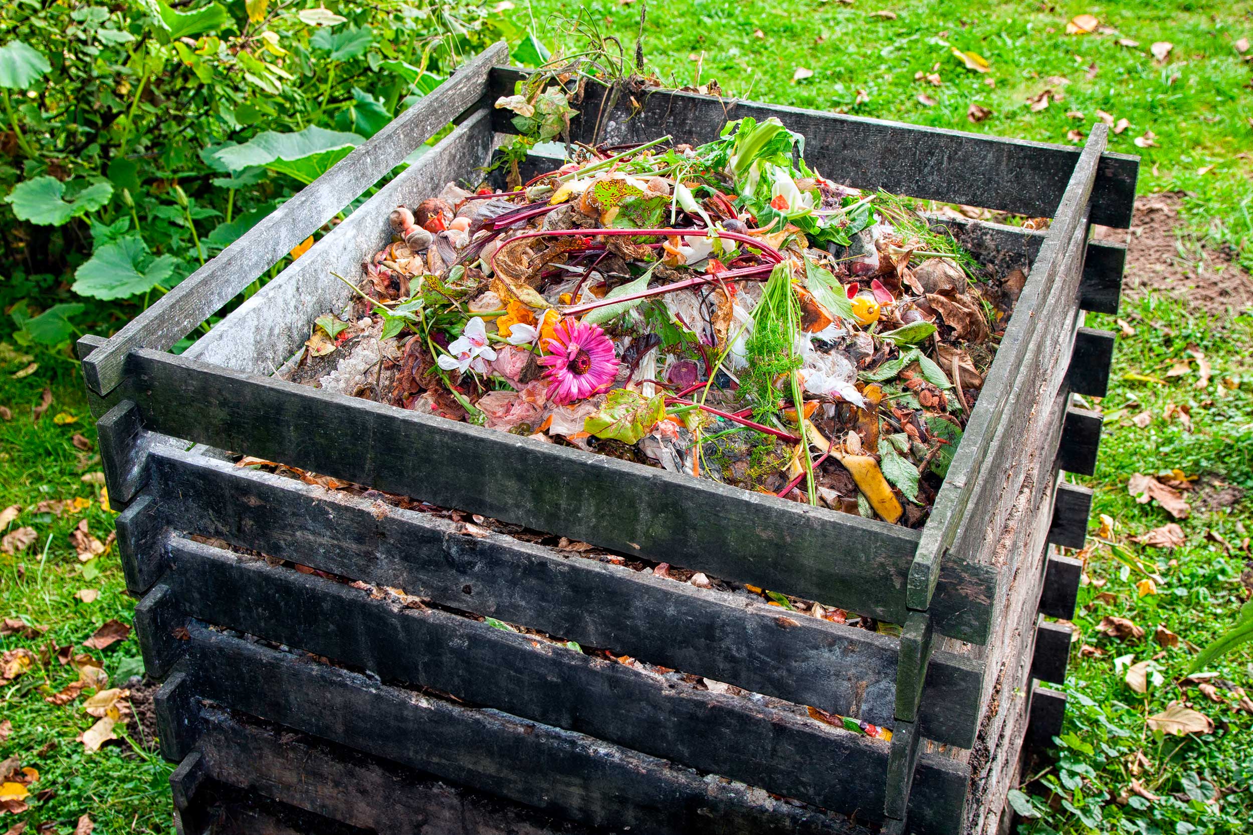 A compost heap full of scraps