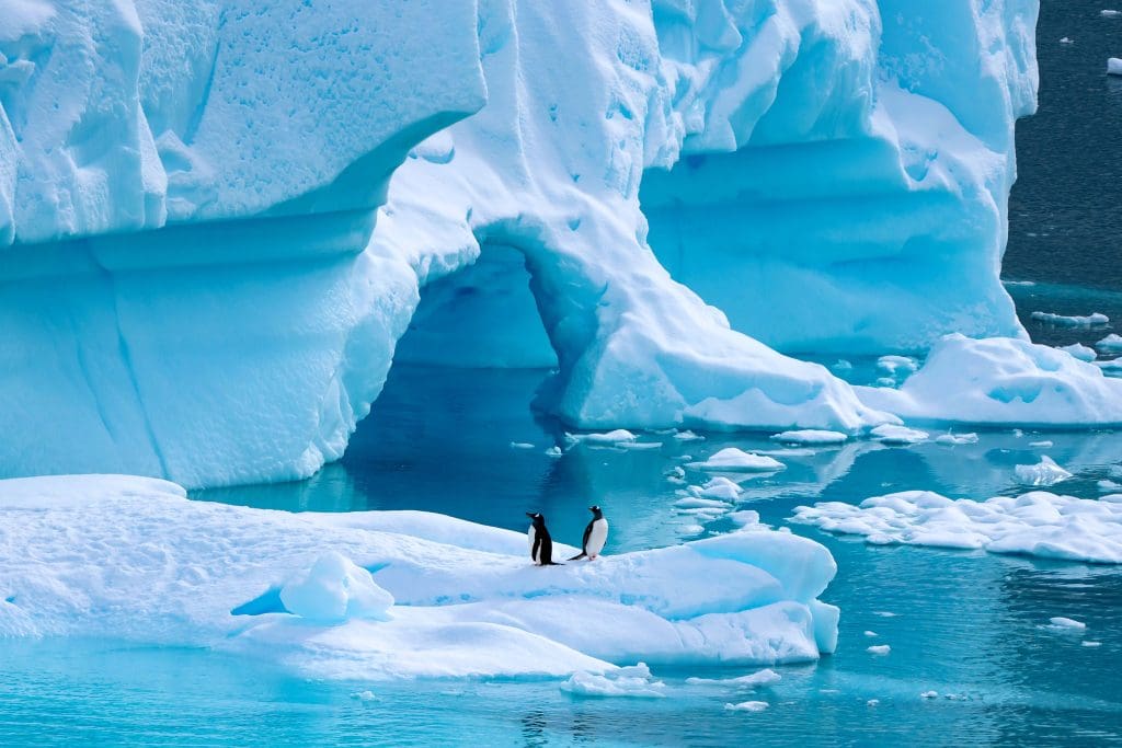 Two penguins among icebergs surrounded by water