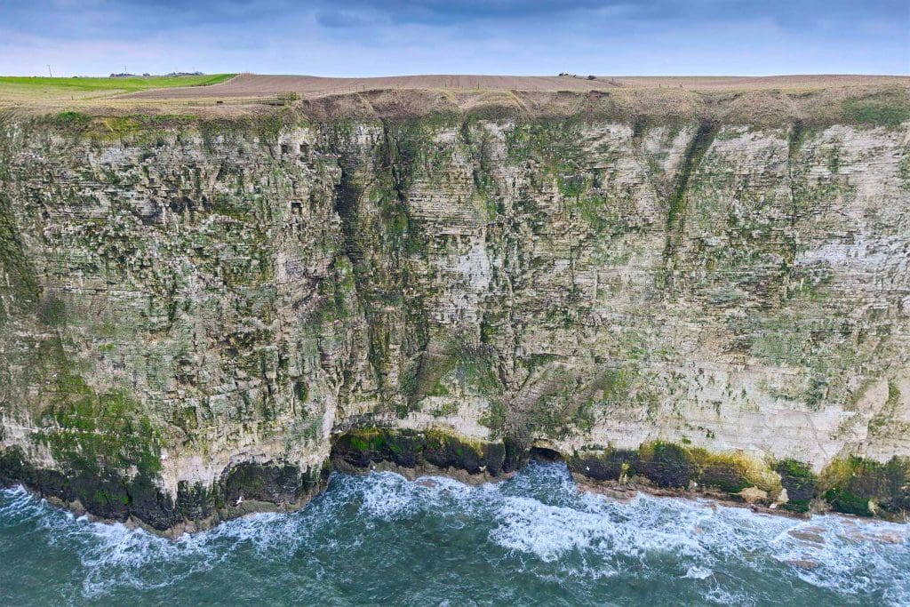 Bempton cliffs