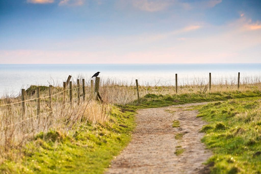 Bempton Cliffs path