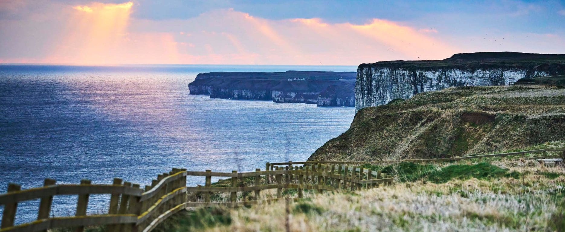 Bempton Cliffs