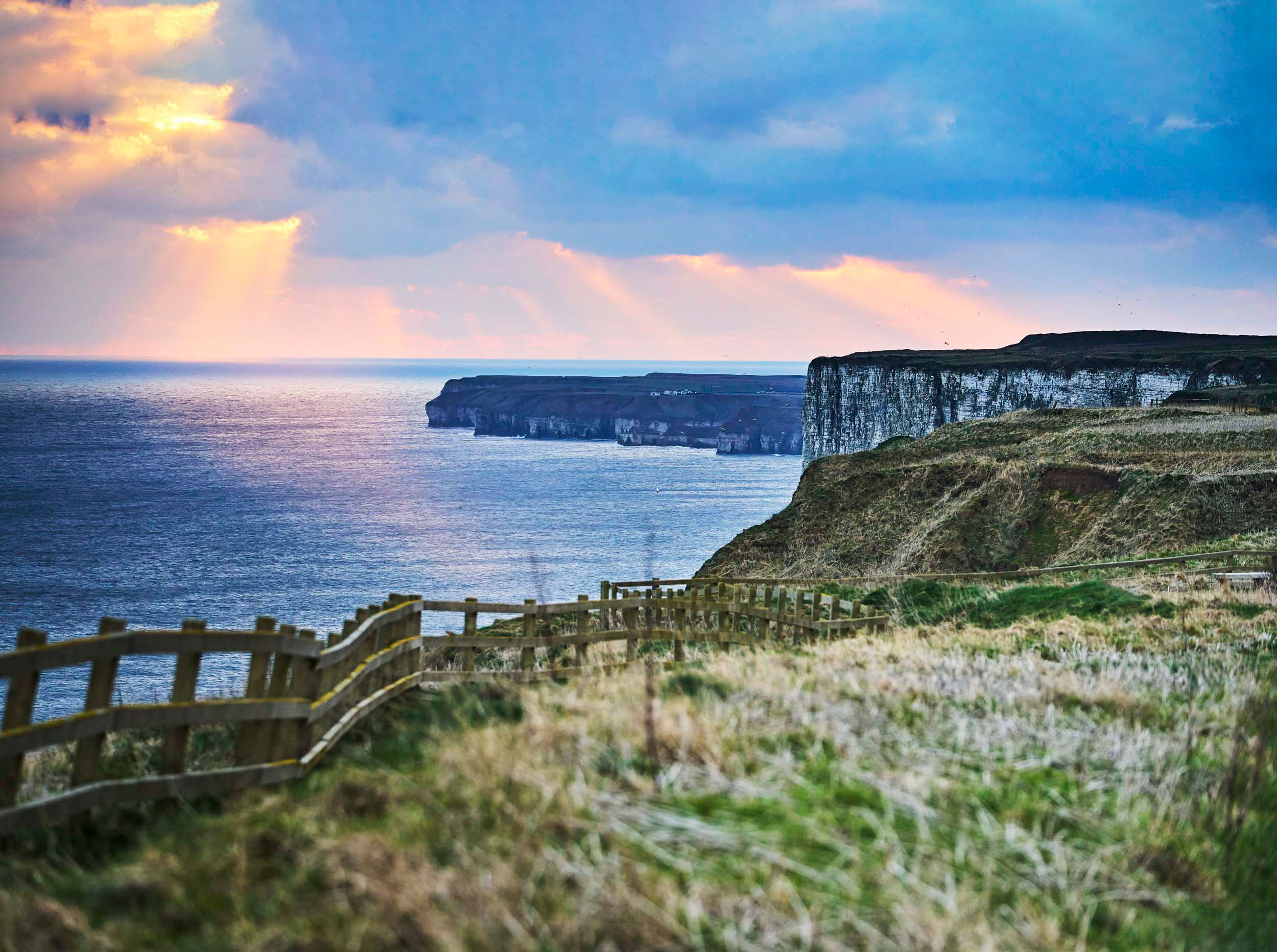 Bempton Cliffs