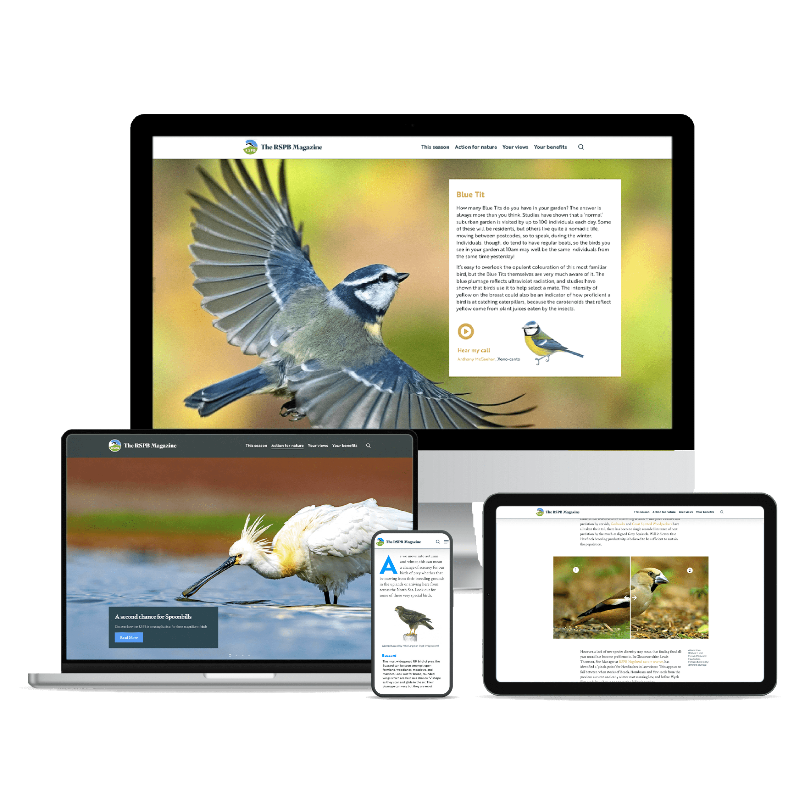 The RSPB Magazine content shown on desktop, tablet and mobile.