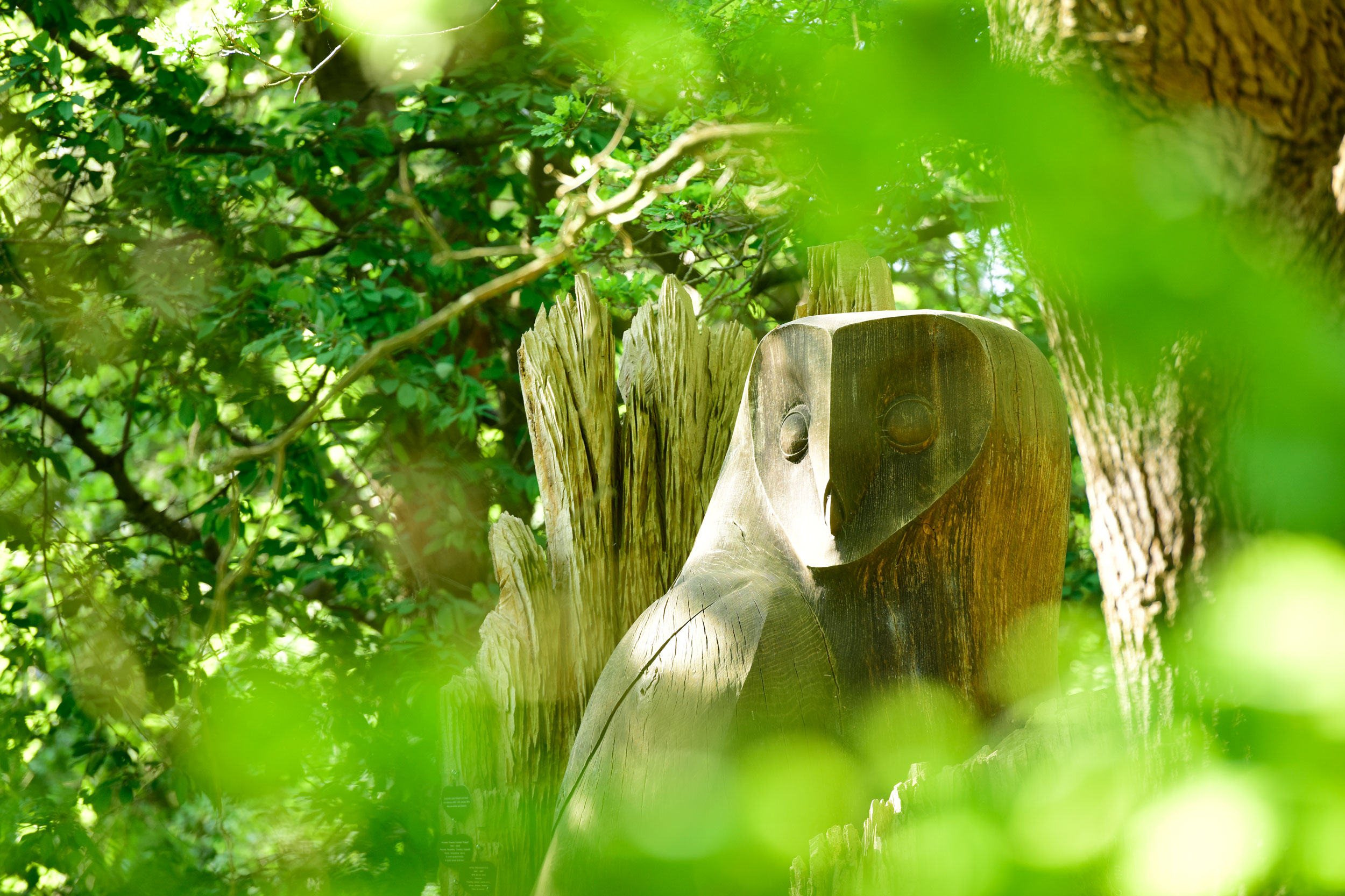 A wooden owl statue of a simple, smooth design in woodland