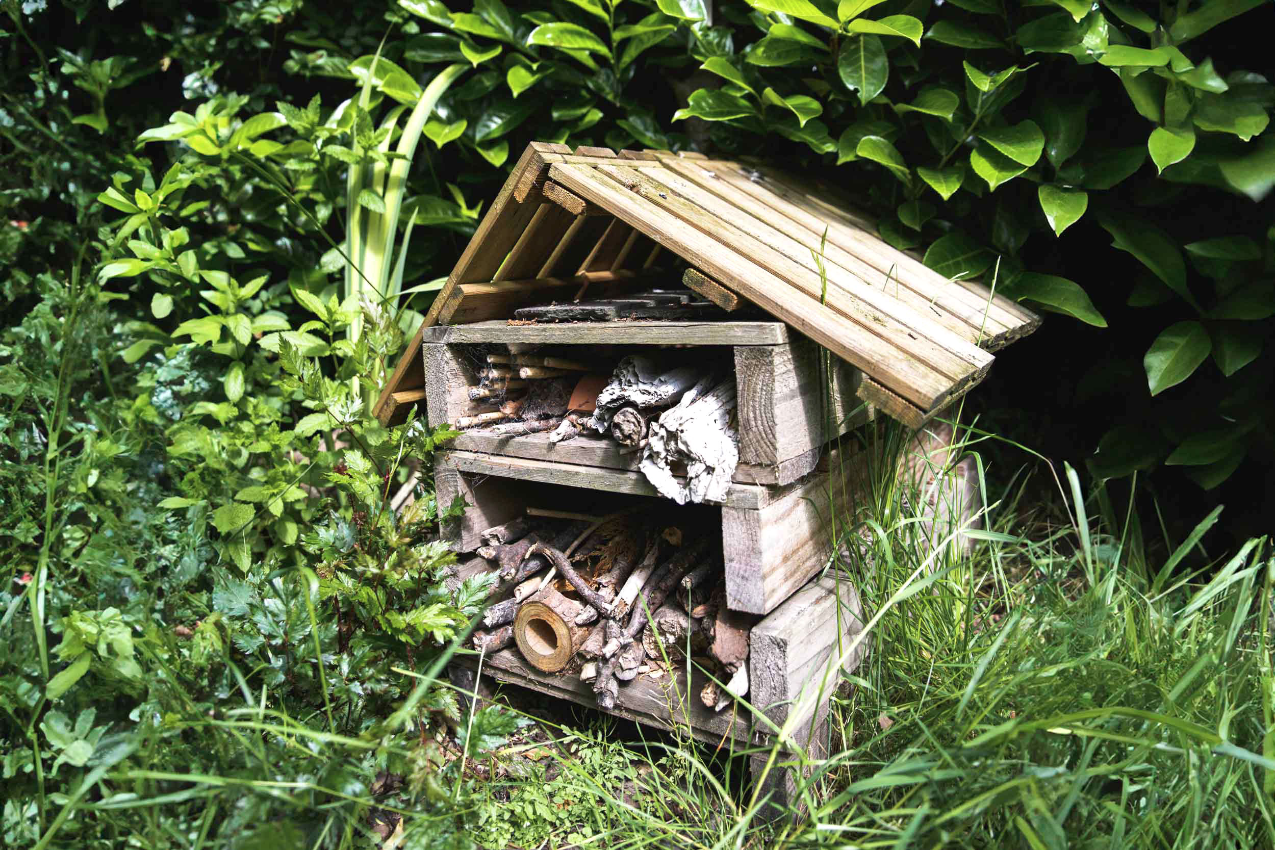 In a corner of a garden left to grow wild, a small house -shaped structure sits, made of wood en pallets and partially filled with twigs and other natural materials.