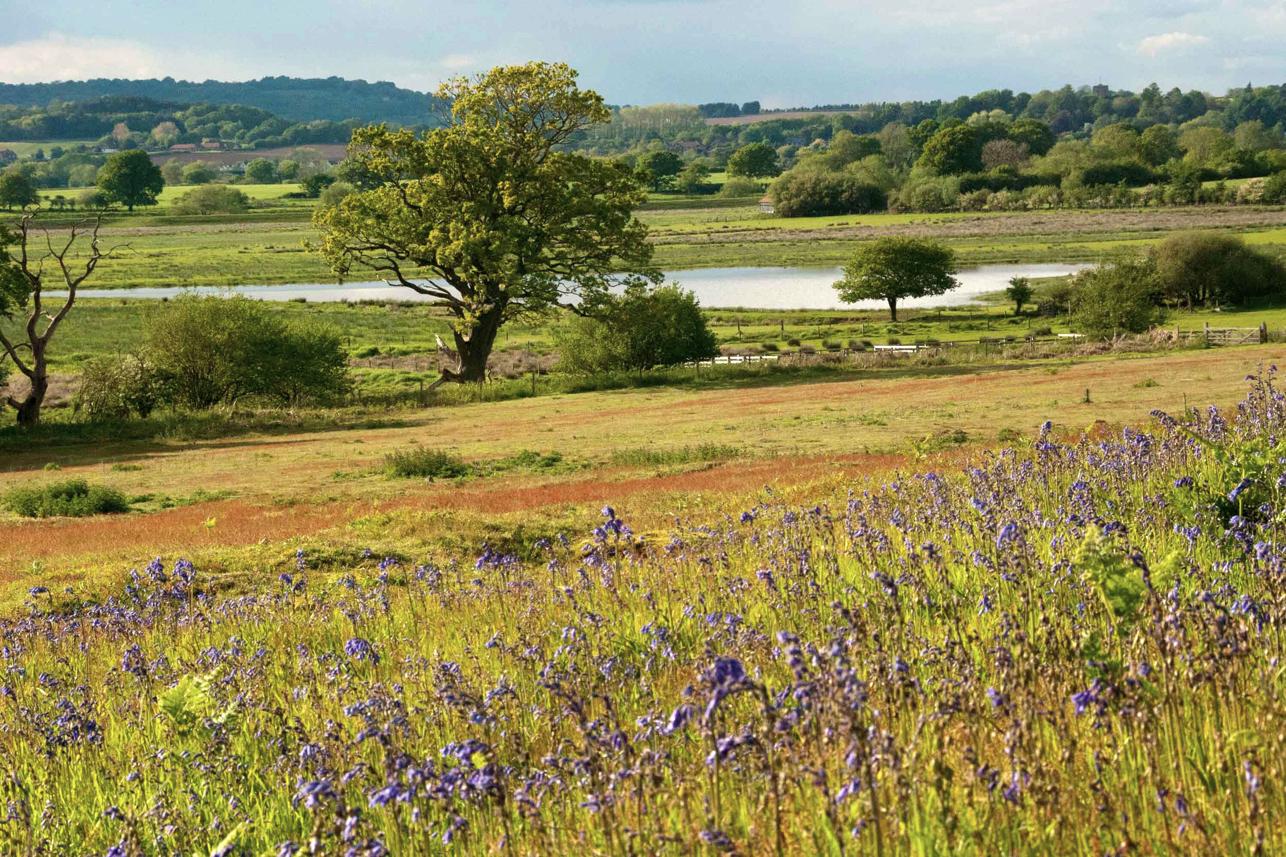 A sunny, springtime view over fields, trees and a small body of water. Bluebells are in the foreground; the slop of a gentle hill
