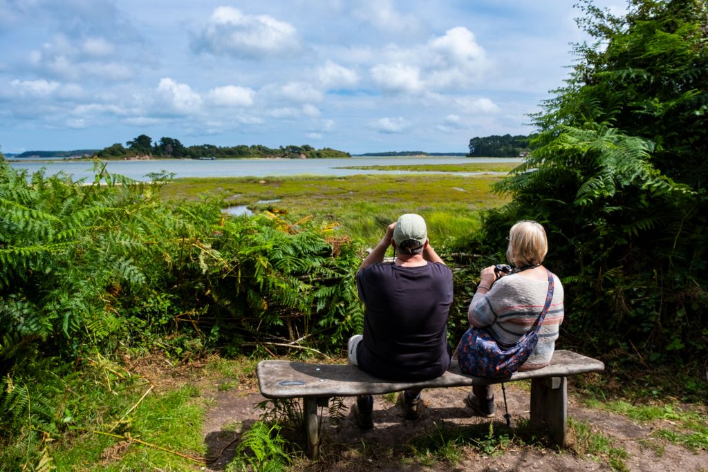 Friends-enjoying-the-view-over-Poole-Harbour-while-sat-on-a-wooden-bench,-RSPB-Arne-Nature-Reserve,-Dorset.RSPB_1026197.SamTurley An man and woman are sitting, facing away from the viewer, on a wooden bench with no back, looking at the saltmarsh and harbour in front of them.