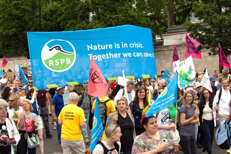 A crowd of people and RSPB supporters at an urban event – some holding large flags and one big banner with the RSPB logo and the slogan 'Nature is in crisis. Together we can save it.'