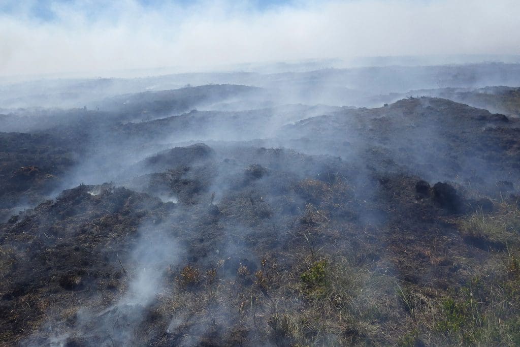 '-Hara.RSPB_1035909-(1) Smoke rises from burnt ground at RSPB Dove Stone