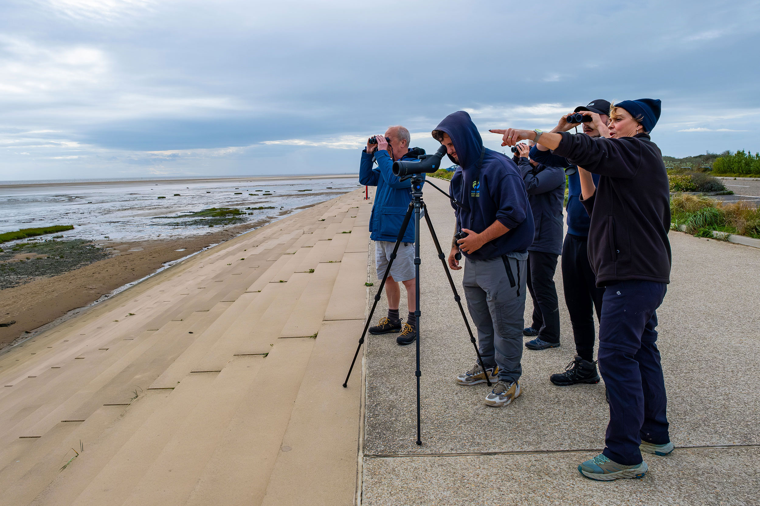 A group of people look through binoculars and a telescope on a guided bird walk