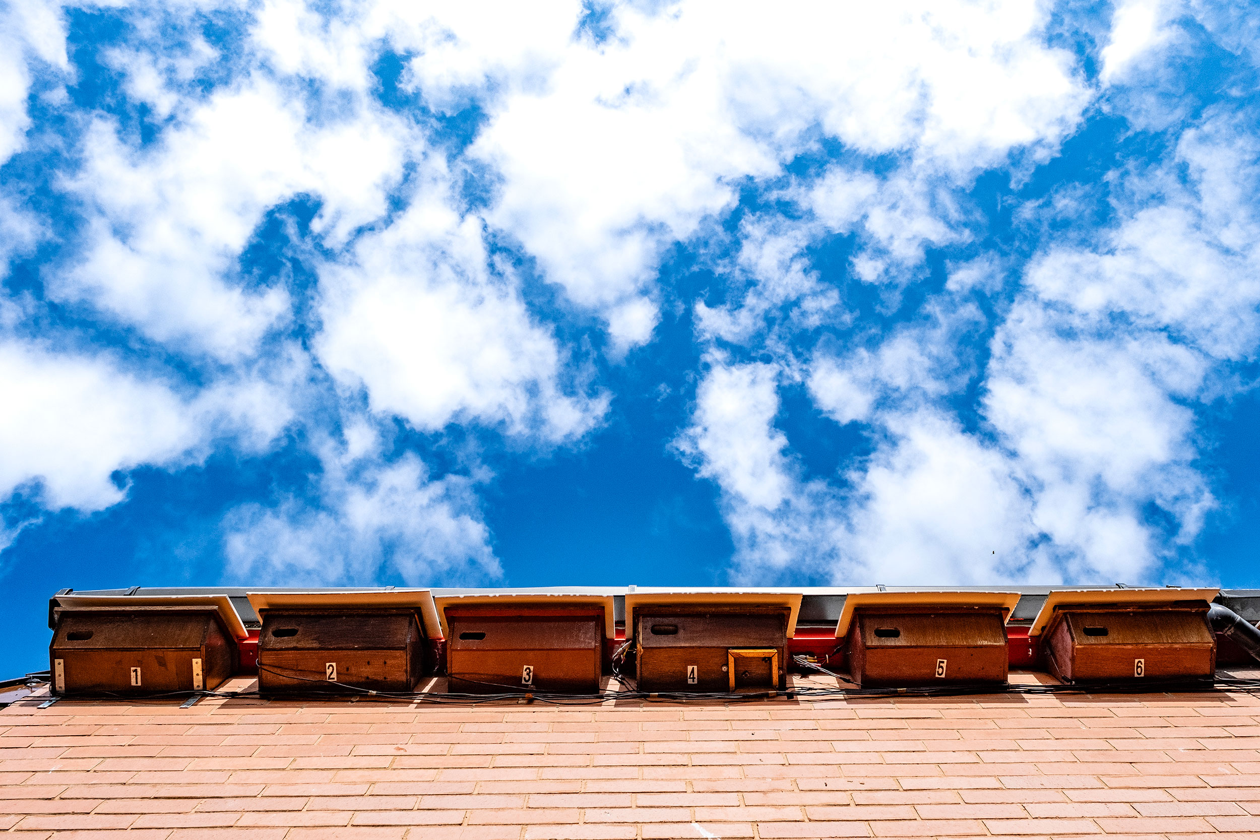 A row of Swift boxes fitted to a house