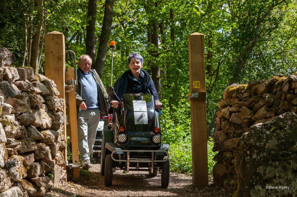 Tramper-trail-launch-trek---Steve-Ripley Two visitors to the trail, one of which is in an all-terrain mobility scooter, enter a forest trail, flanked either side with a stone wall
