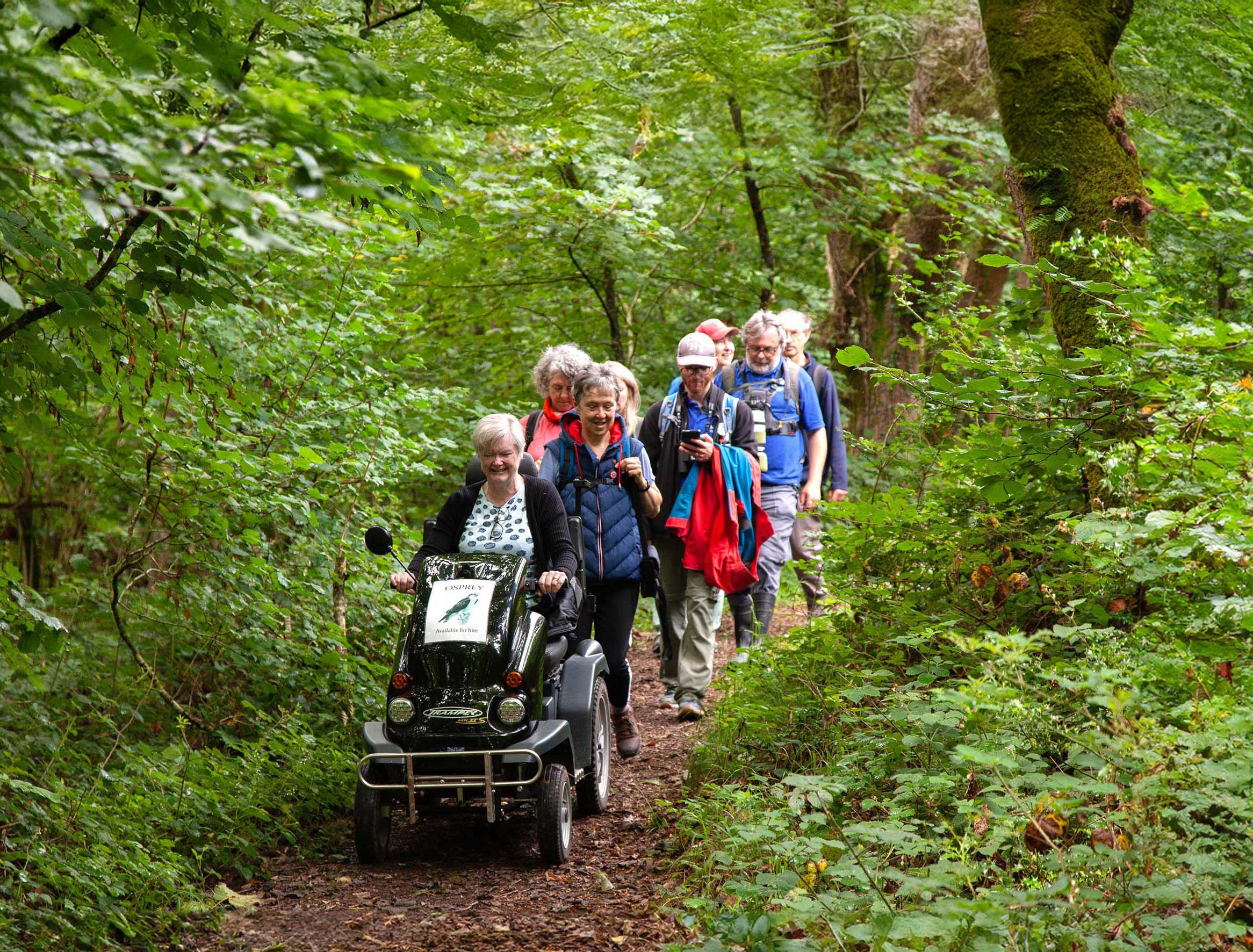 A woman on an all-terrain mobility scooter heads up a group of walkers on a path that cuts through a forest