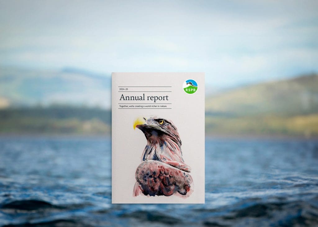 RSPB Annual report 2025-26.